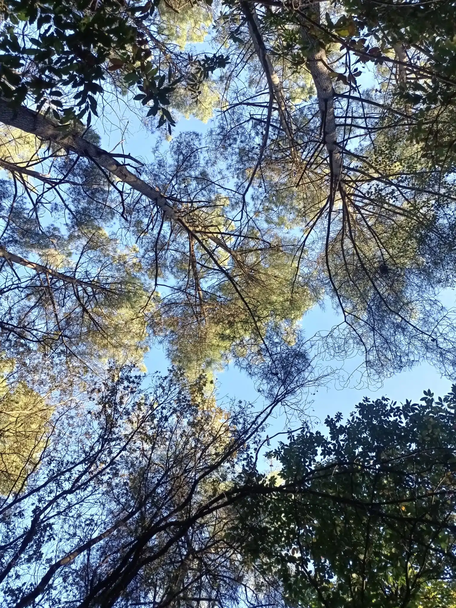 psycho-somatotherapeute (3)