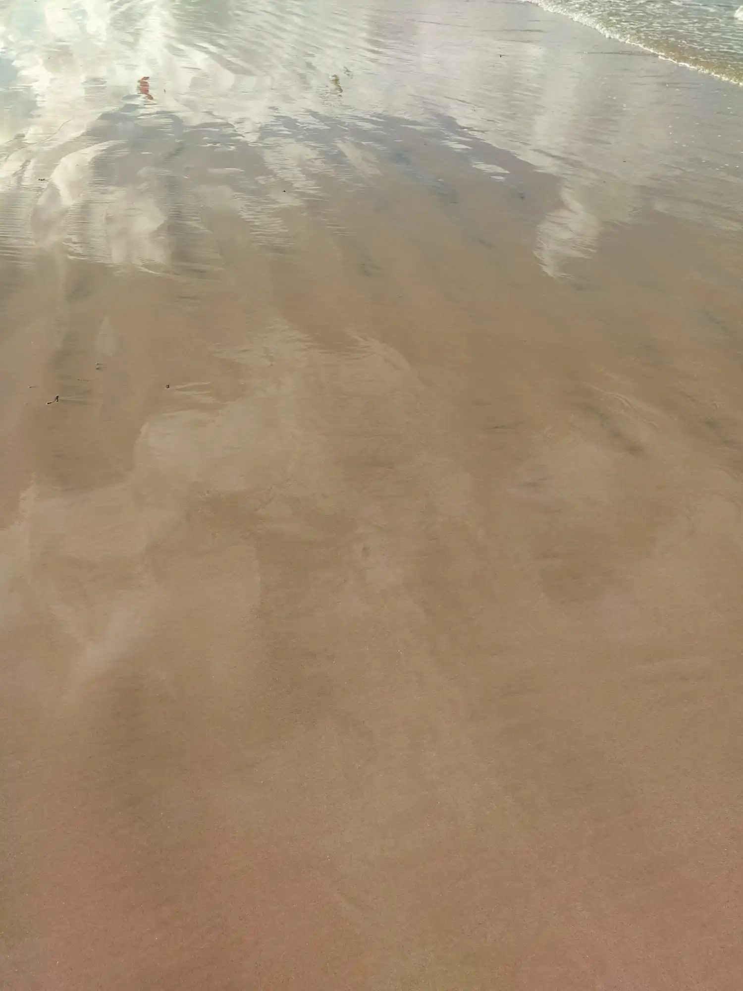 psycho-somatotherapeute (4)