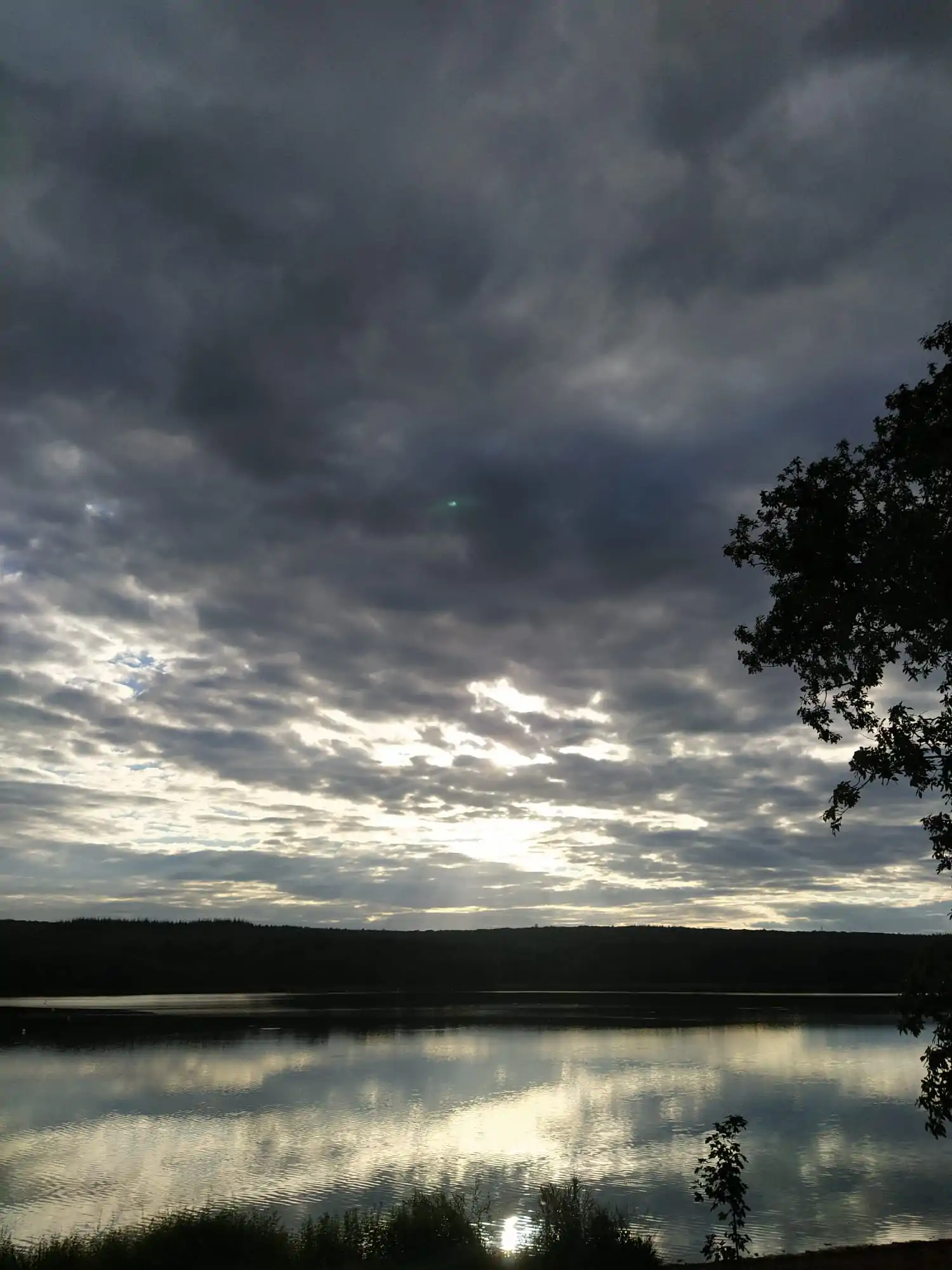 psycho-somatotherapeute (5)